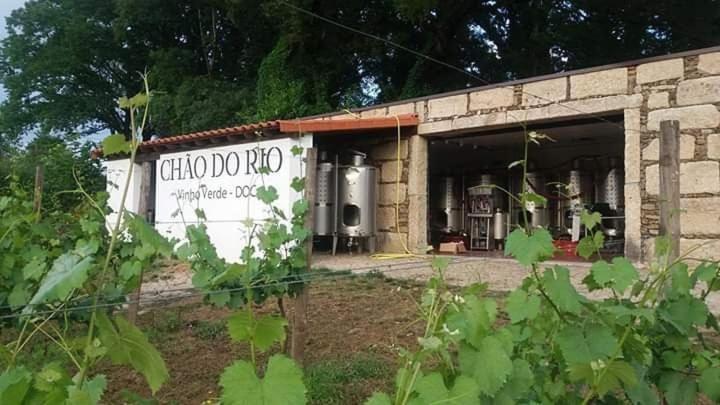 Quinta Da Chouza Agroturismo E Enoturismo Celorico De Basto Exteriör bild