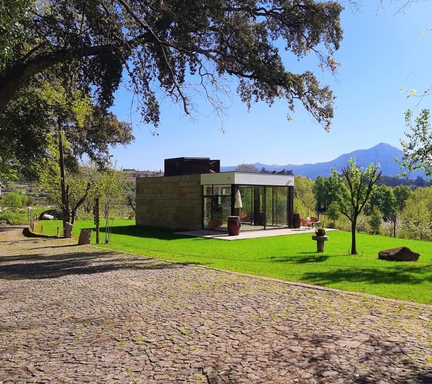 Quinta Da Chouza Agroturismo E Enoturismo Celorico De Basto Exteriör bild