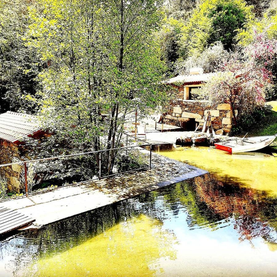 Quinta Da Chouza Agroturismo E Enoturismo Celorico De Basto Exteriör bild