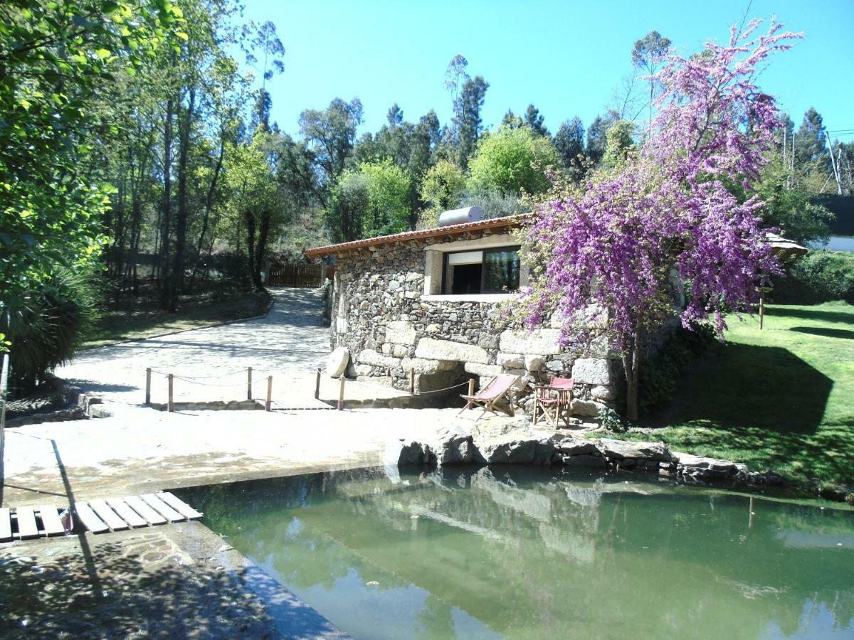 Quinta Da Chouza Agroturismo E Enoturismo Celorico De Basto Exteriör bild