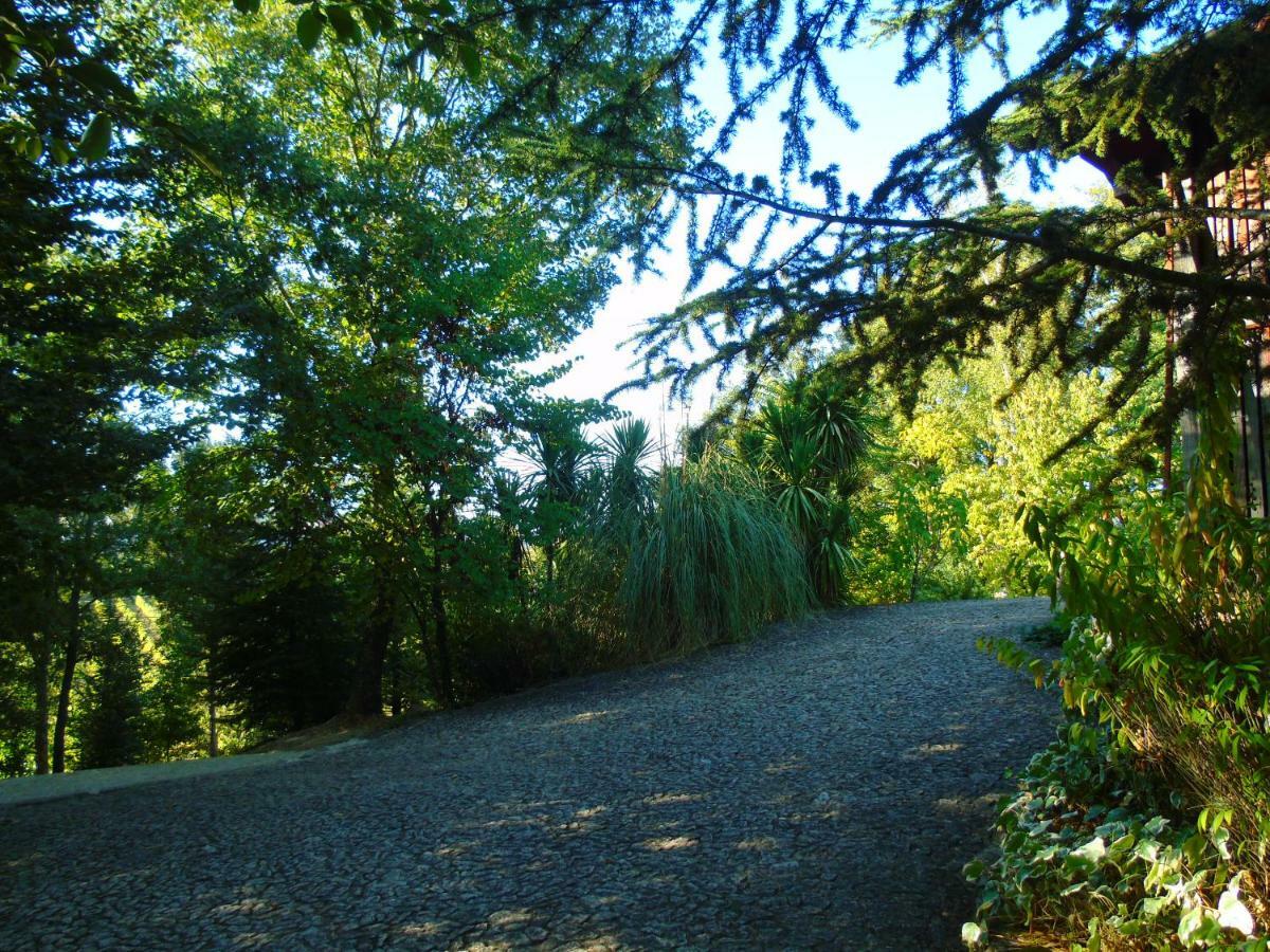 Quinta Da Chouza Agroturismo E Enoturismo Celorico De Basto Exteriör bild