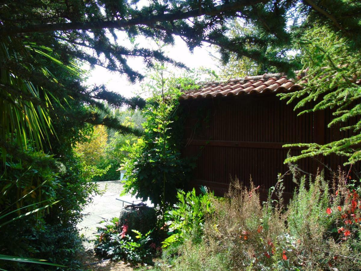 Quinta Da Chouza Agroturismo E Enoturismo Celorico De Basto Exteriör bild