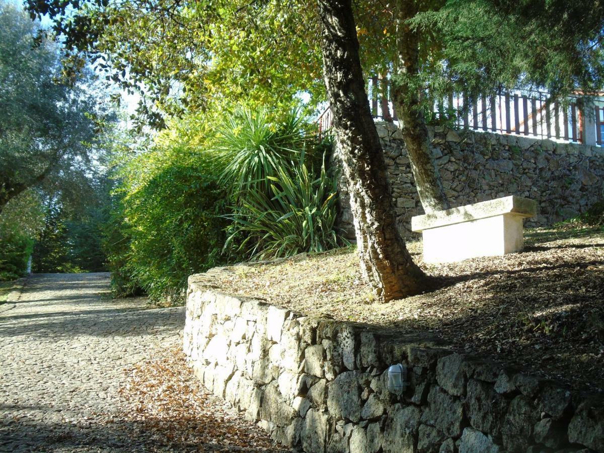 Quinta Da Chouza Agroturismo E Enoturismo Celorico De Basto Exteriör bild
