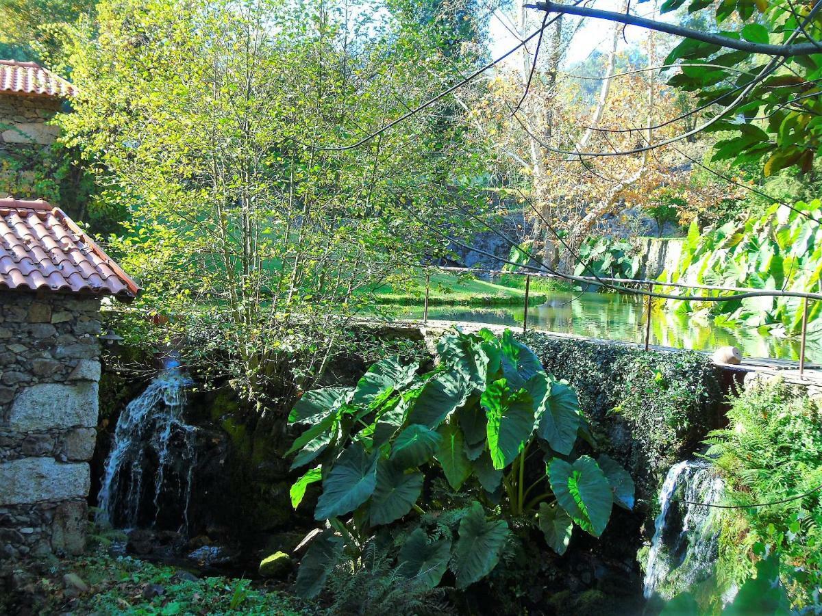 Quinta Da Chouza Agroturismo E Enoturismo Celorico De Basto Exteriör bild