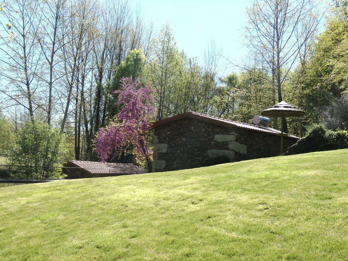 Quinta Da Chouza Agroturismo E Enoturismo Celorico De Basto Exteriör bild