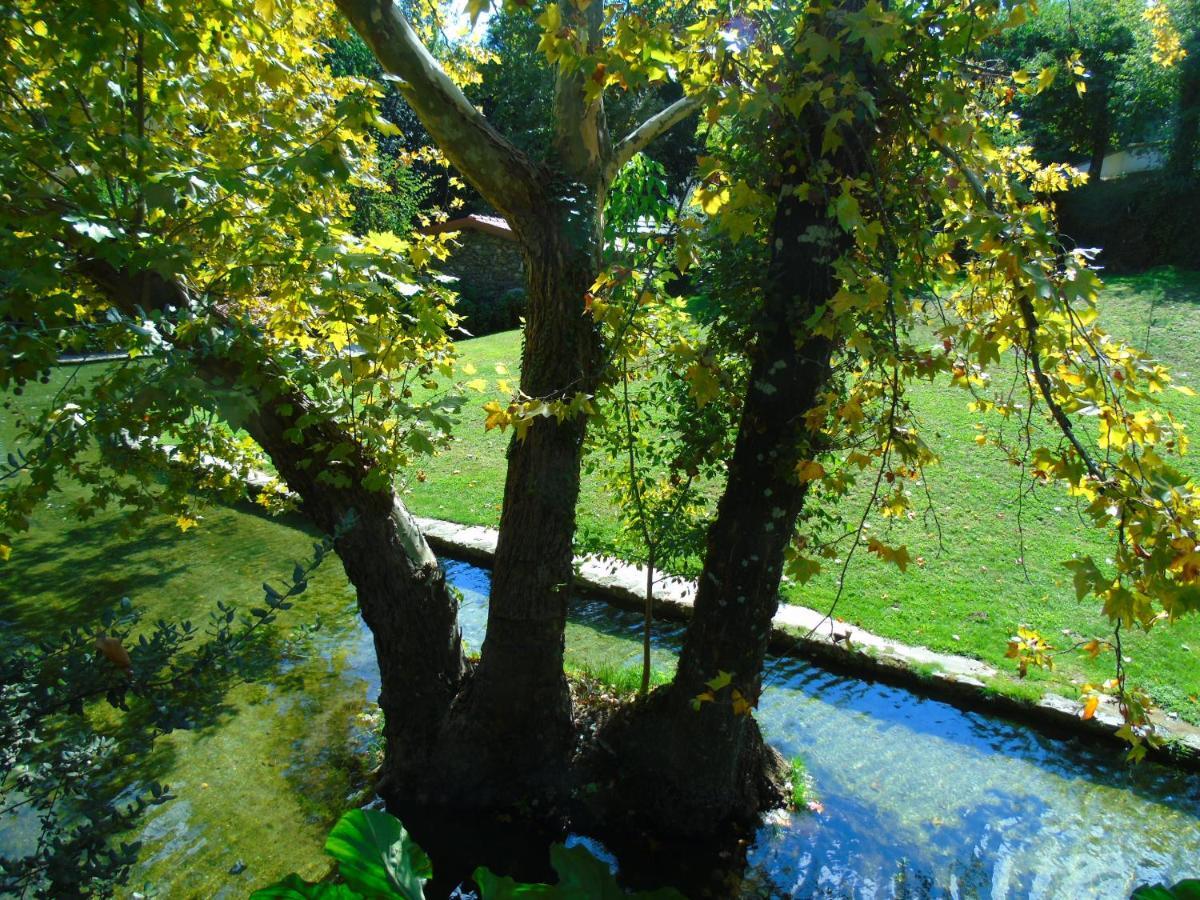 Quinta Da Chouza Agroturismo E Enoturismo Celorico De Basto Exteriör bild